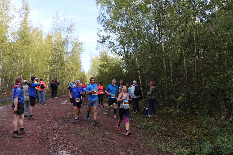 Plusieurs parcours, à travers la forêt, étaient proposés aux participants.